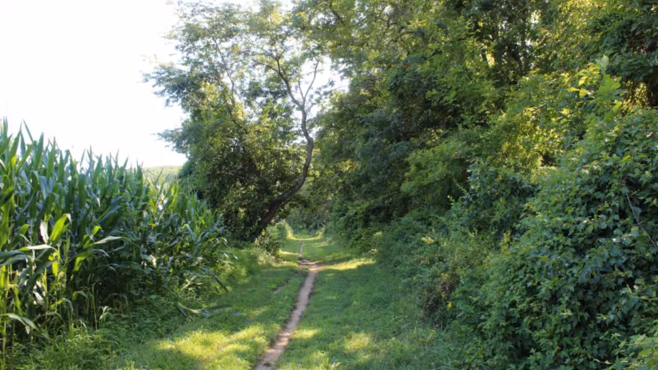 National Park Service proposes rule to allow bicycle use on designated trails