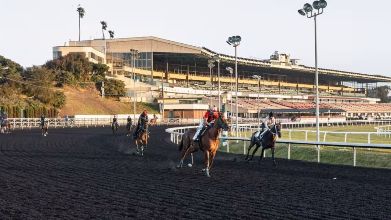 Horses race race at Golden Gate Fields in June 2024, weeks before the closure (AP photo)